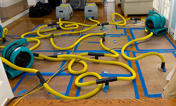 Professional Structural Drying And Dehumidification technician working in Danville, VA