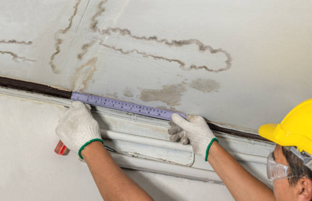 Affordable Water Damage Repair solutions in Danville, VA